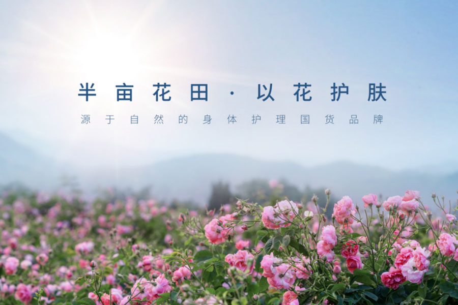 半亩花田电商效果营销项目